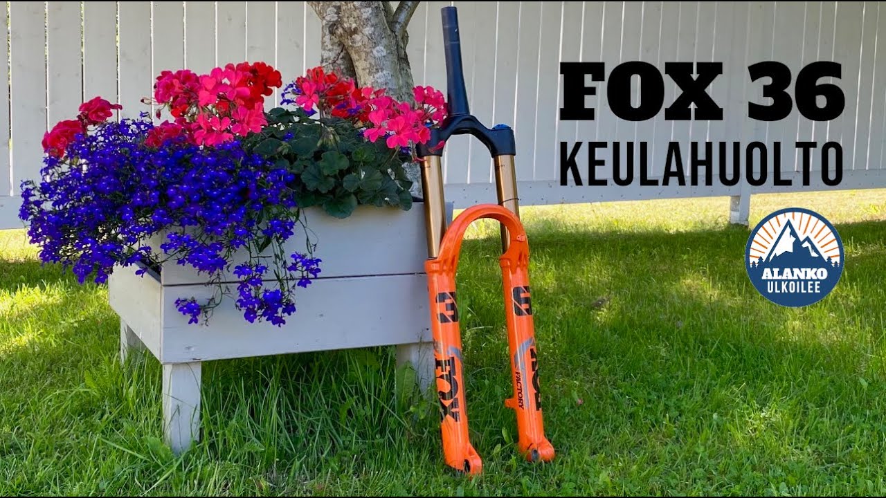 Joustokeulan huolto, FOX 36 | Öljynvaihto | Putsaus