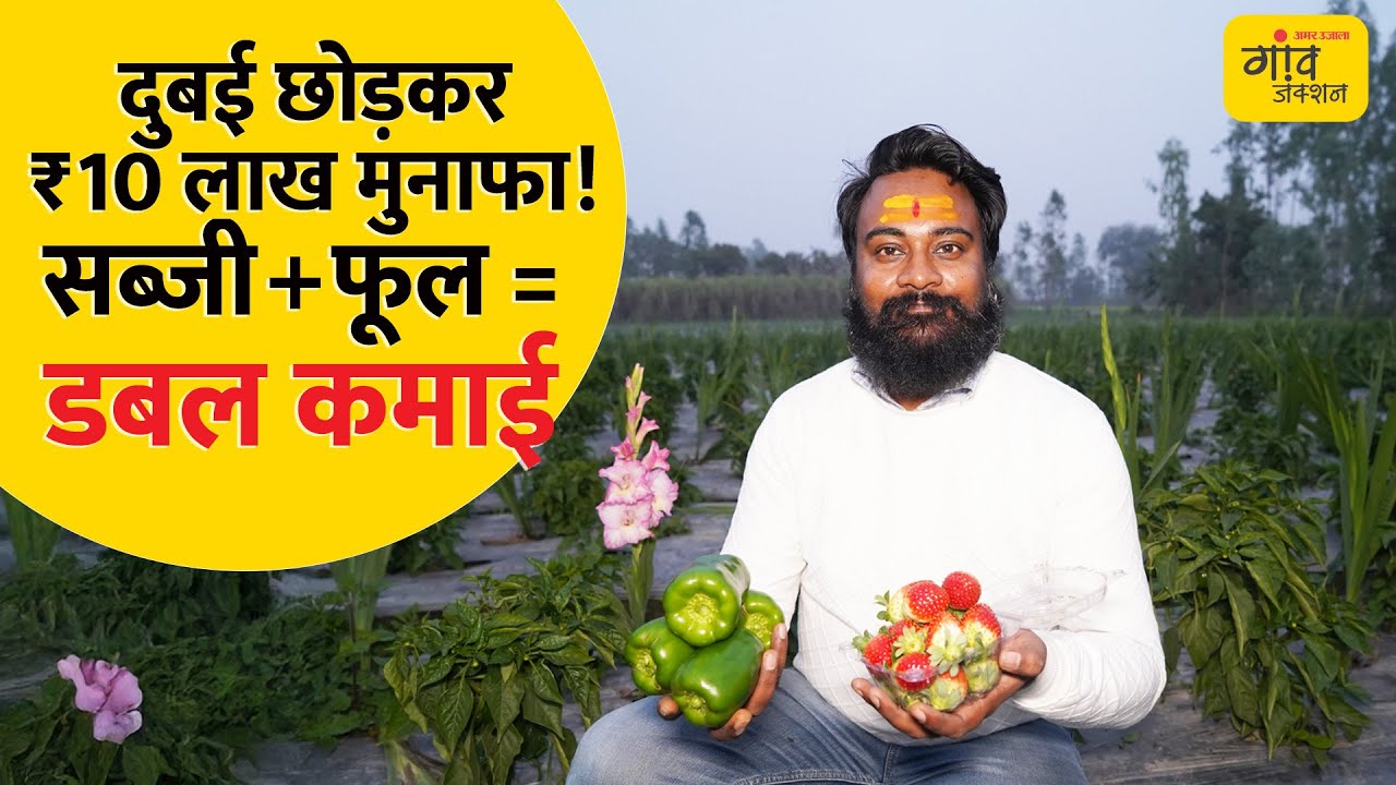 दुबई की नौकरी छोड़ी, अब खेती से ₹10 लाख मुनाफा! देखिए फसलों का ये 'जादुई' मॉडल | Gaon Junction LIVE