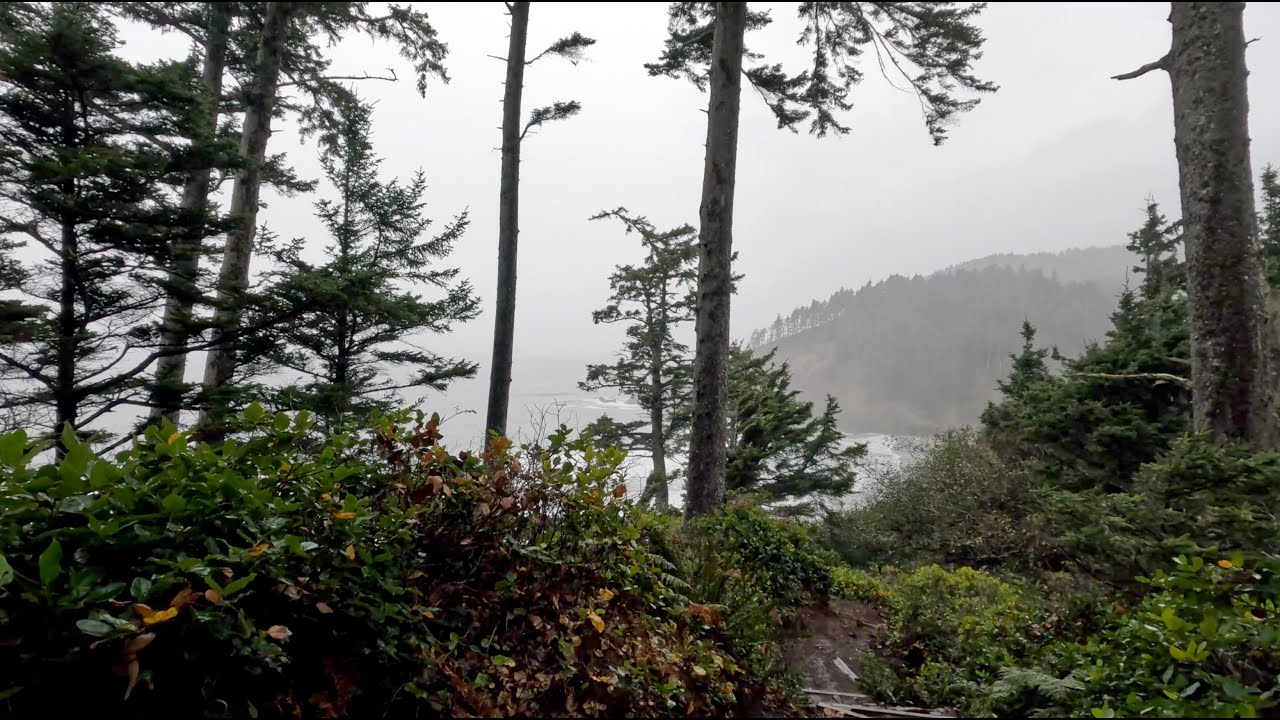Cool October Rainy Hike in Ecola State Park, Oregon | 4K Walking / Hiking / Treadmill journeys