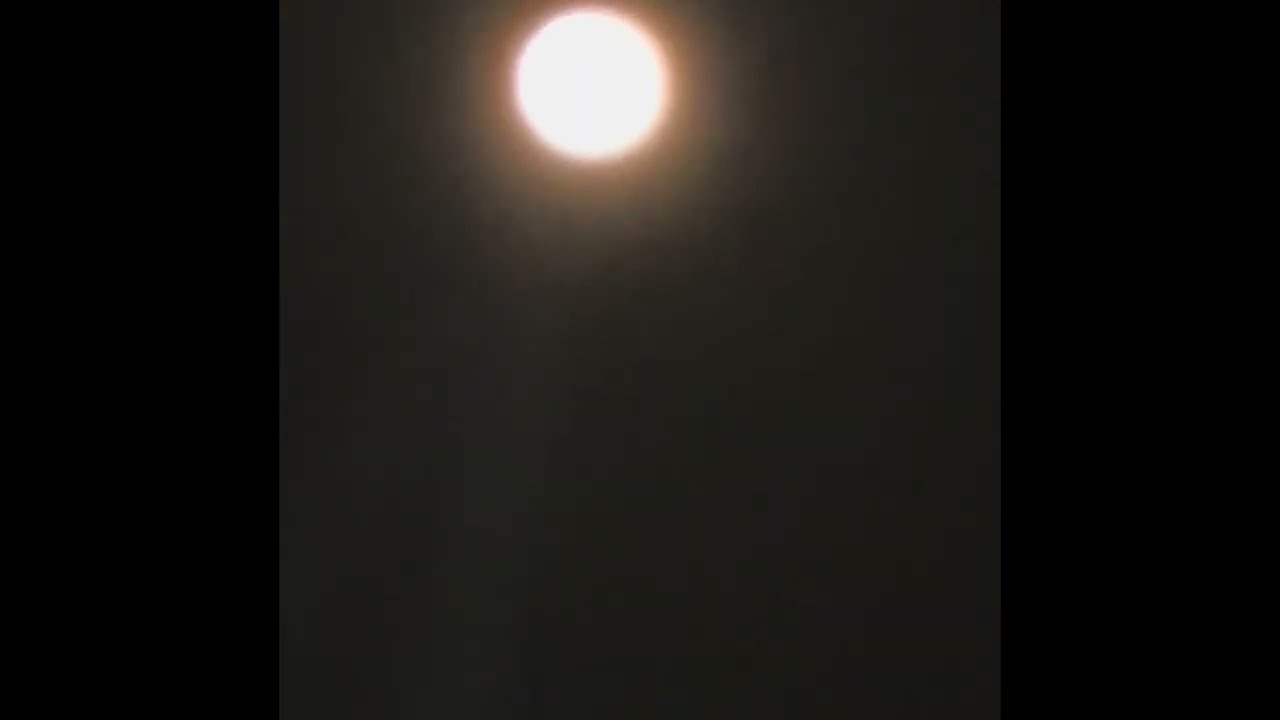 I Looked Outside And This Is What I Saw: Grabbed My Phone And Started Recording👀👀👀👀