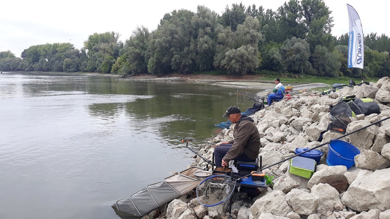 UŽIVO SA VODE - feeder pecanje krupne deverike na Dunavu kod Bezdana