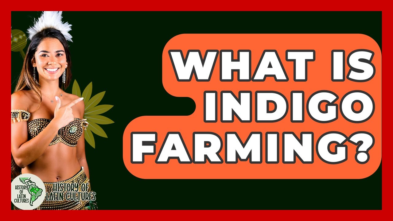 What Is Indigo Farming? - History Of Latin Cultures
