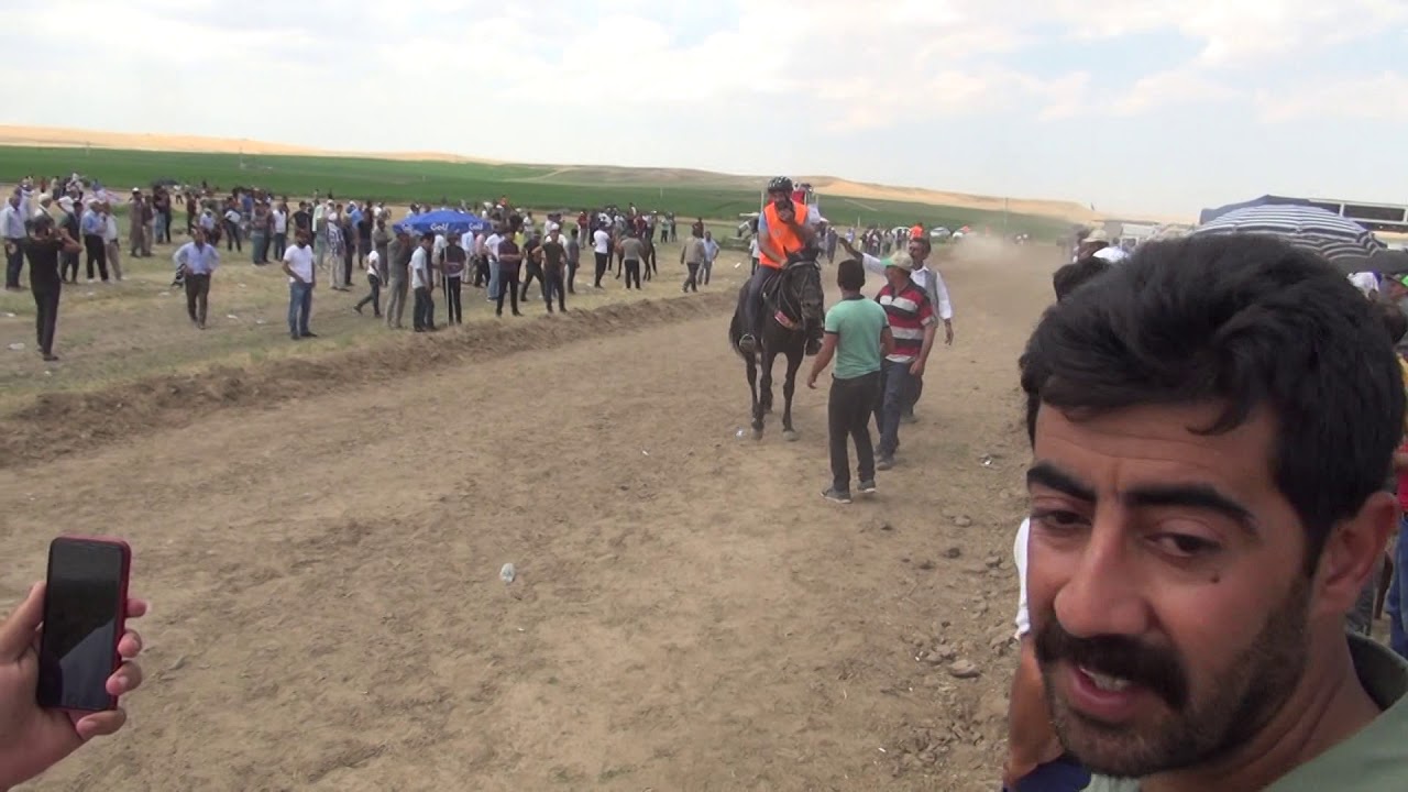 Rahvan At Yarışları Diyarbakır’da Gerçekleştirildi video