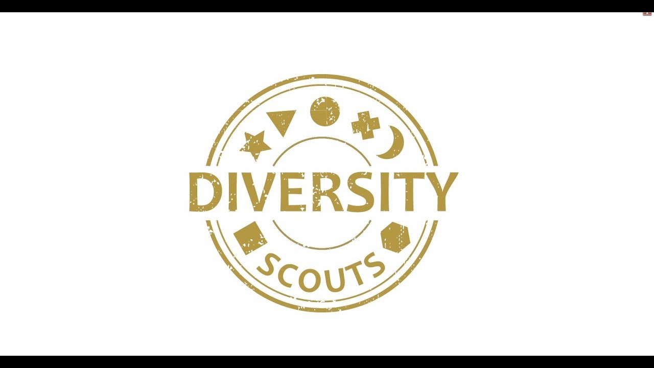 Die Diversity Scouts an der FAU [FAU Programme]