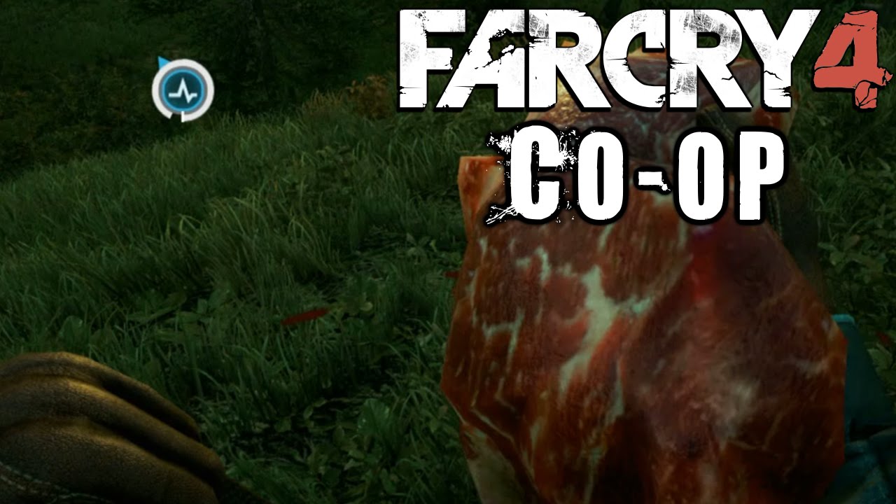 Skins - Farcry 4 Coop w/ Nova