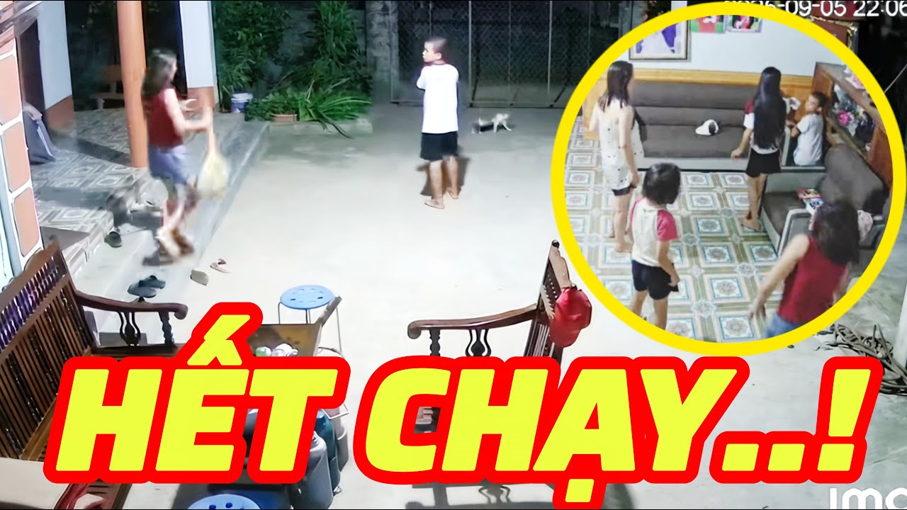 Cả nhà bắt được kẻ gian, cái kết khiến ai cũng bất ngờ