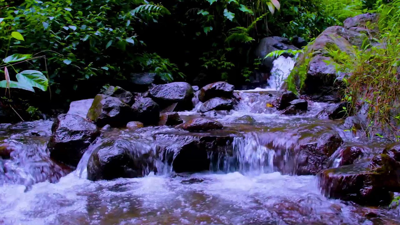Quiet Flowing River | Deep Sleep White Noise for Anxiety and Stress