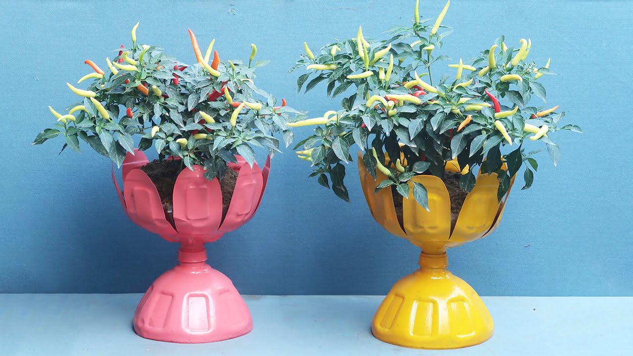 Creative Potted Plant Ideas From Discarded Plastic Bottles