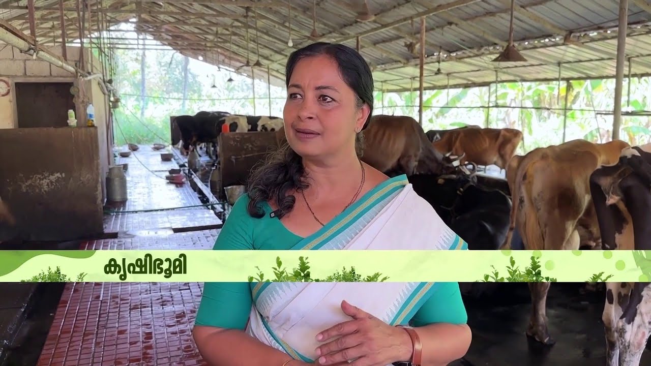 'ഡയറി ഫാം നടത്തുമ്പോള്‍ തീറ്റ ചിലവ് പരമാവധി കുറയ്ക്കുക എന്നത് പ്രധാനമാണ്' | Krishibhoomi