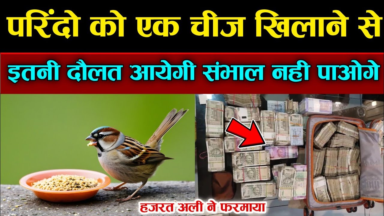 परिंदों को अनाज खिलाने के फायदे - हज़रत अली ने फरमाया || Benefits of Feeding Birds In Islam || NH