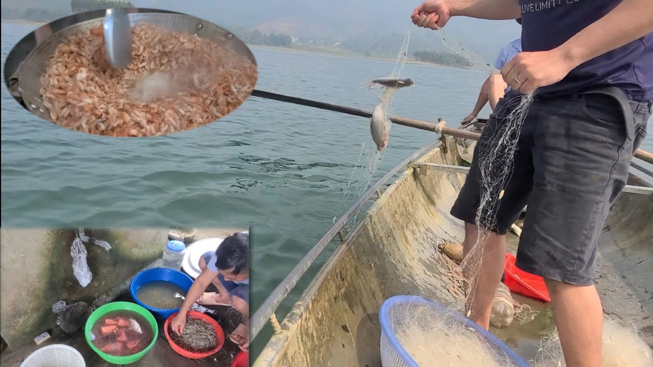 Săn thủy quái hồ Thác Bà (phần 2). Thả lưới mắc gốc cây bị đứt mất lưới.Tôm sạch rang muối phơi nắng
