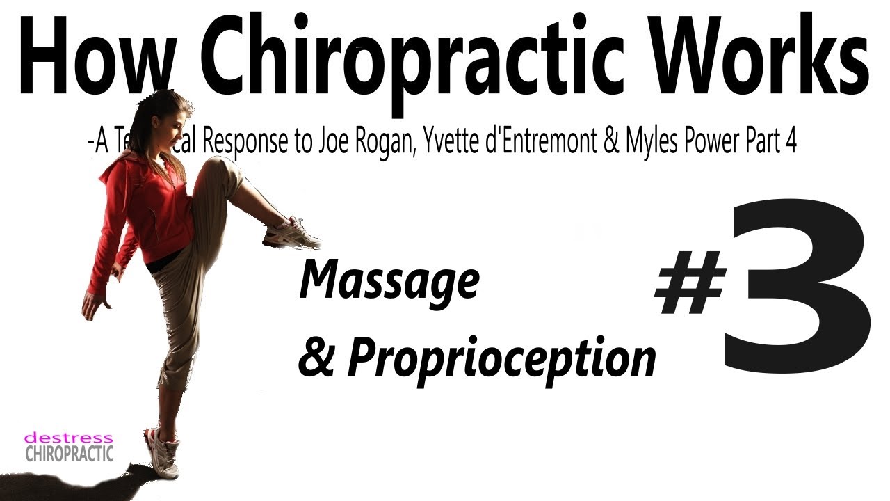 How Chiropractic Works-A Technical Response to Joe Rogan, Yvette d'Entremont & Myles Power Part 3