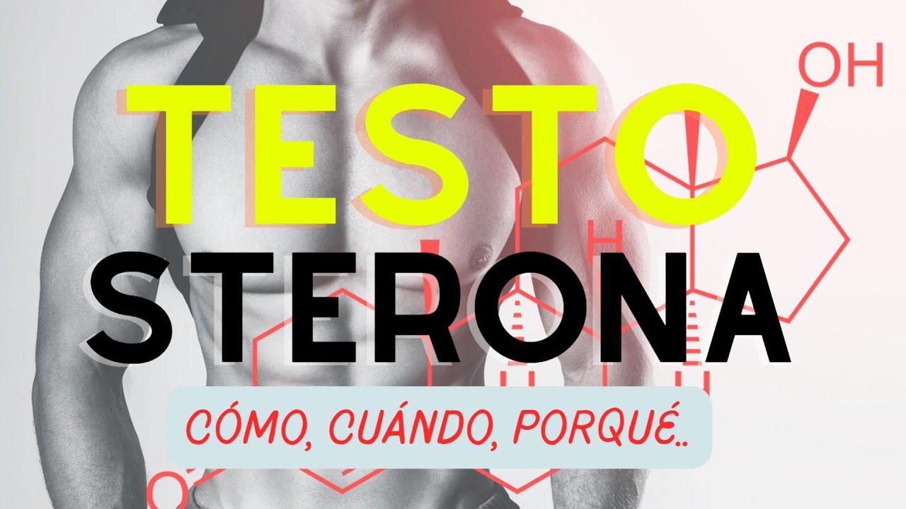 Testosterona - producción, regulacíon y funciones.