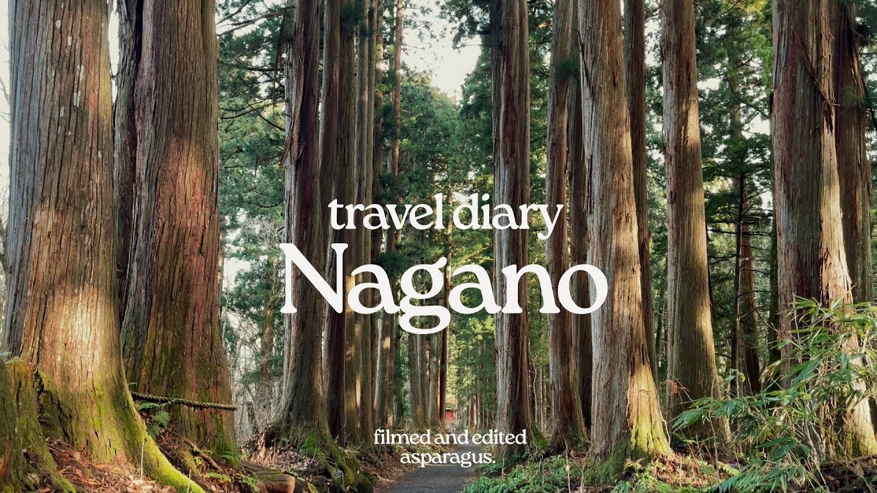 travel diary | Nagano 🌲 walking through the pine forest to Togakushi Shrine, Zenkoji Temple