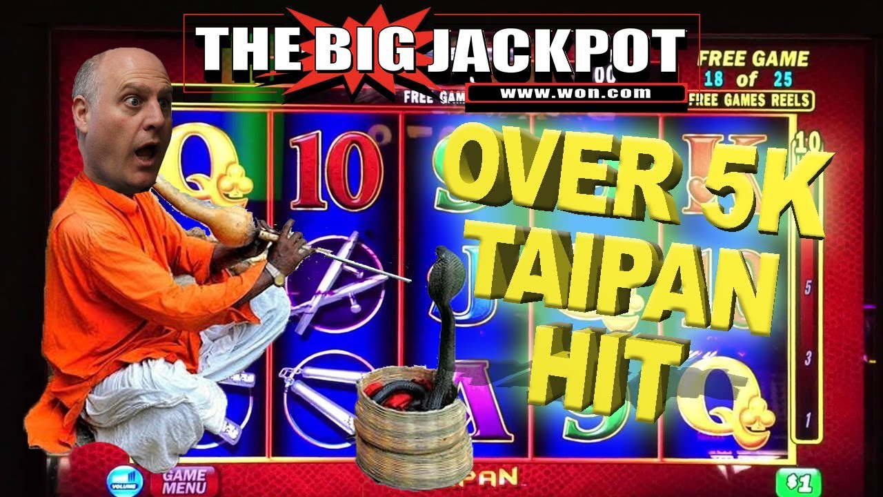 OVER 5K HIT on TAIPAN! 💣25 FREE GAMES PAYS BIG! 💸 BONUS ROUND JACKPOT! | The Big Jackpot