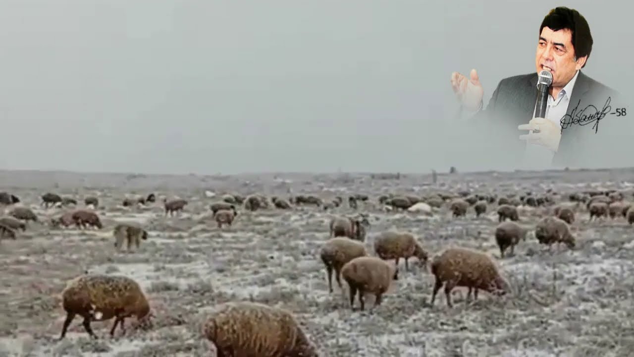 sallana sallana gelenSalatin