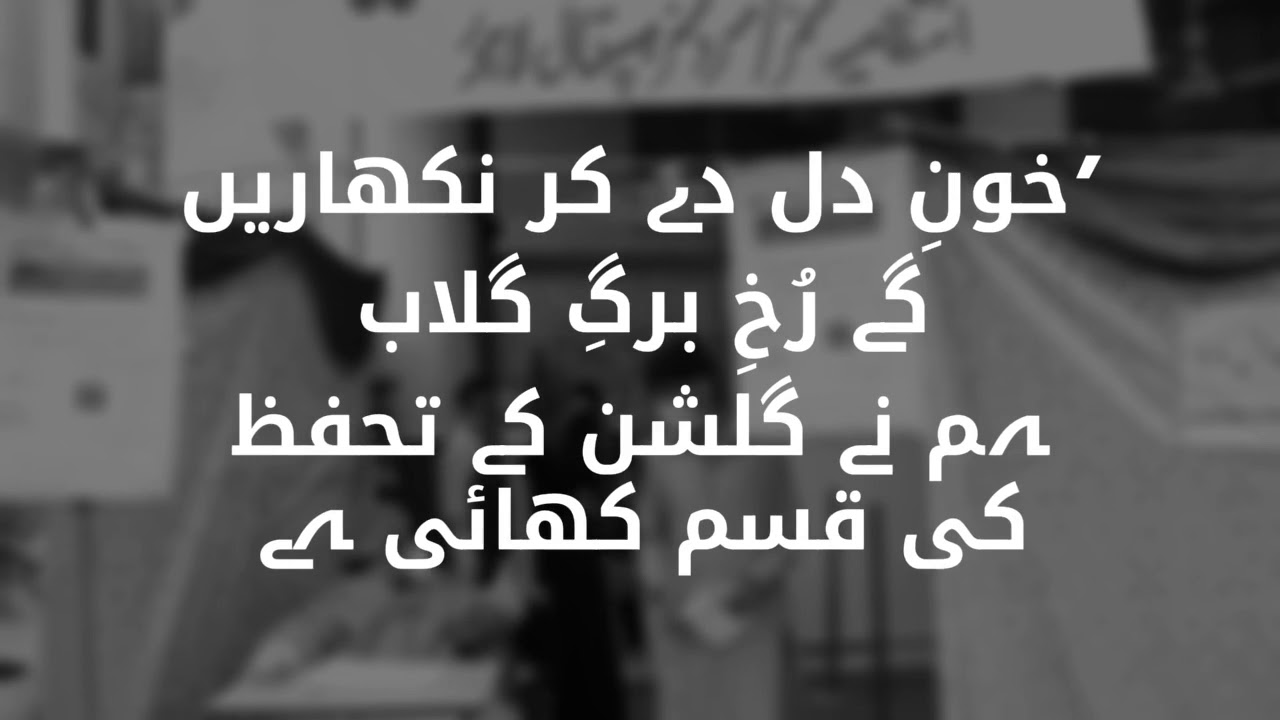 Services Hospital Lahore