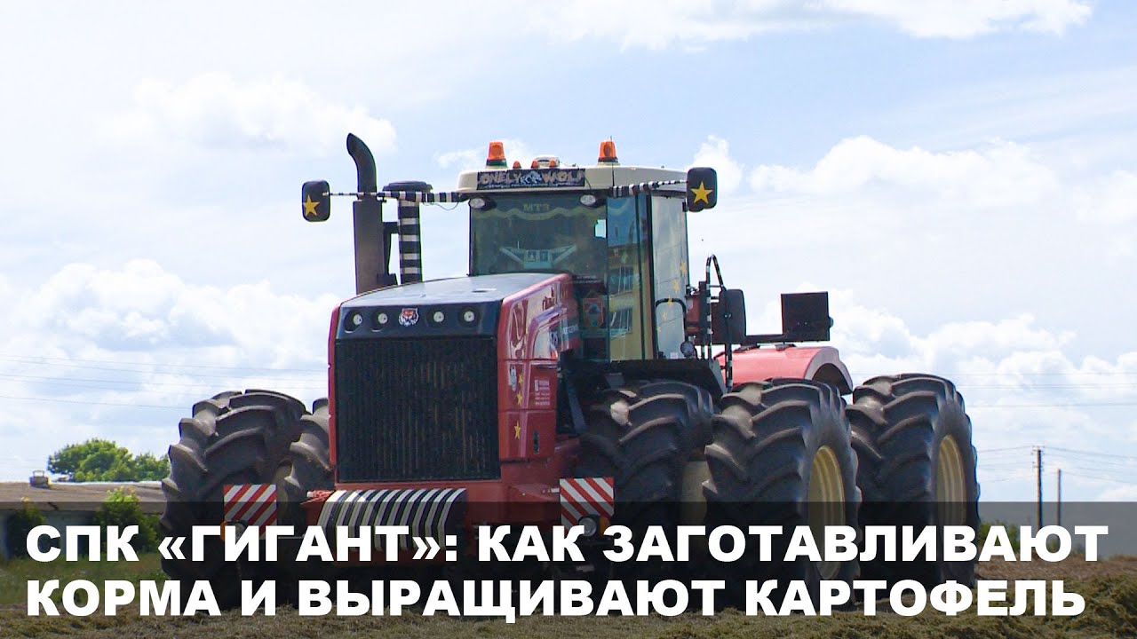 СПК «Гигант» Бобруйского района завершает первый укос трав