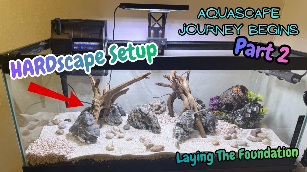 Creating an Aquascape With Driftwood & Rocks | 20 Gallon 🪸Planted Tank Build (Ep. 2)