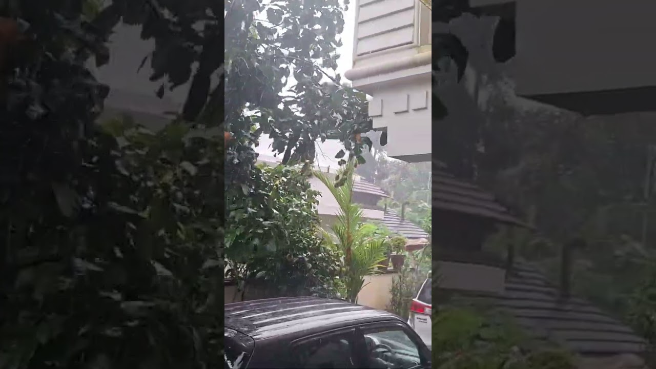 KARKIDAAKA VAVU#kerala #travel #rain #karkidakam #india