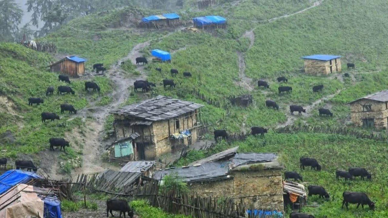 Real Nepali Mountain Village Life During the Rain | Most  peaceful And Relaxing Village Life