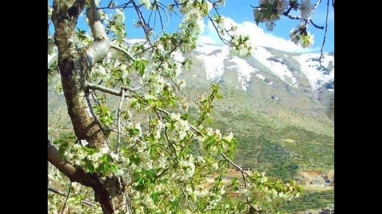 فيروز تغني لبلدة شبعا اللبنانية  Chebaa lebanon