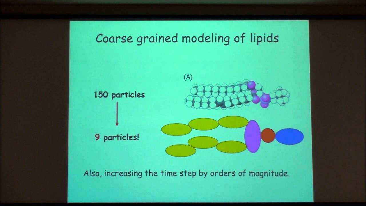 Coarse-grained and Multiscale Modeling of Biological Systems