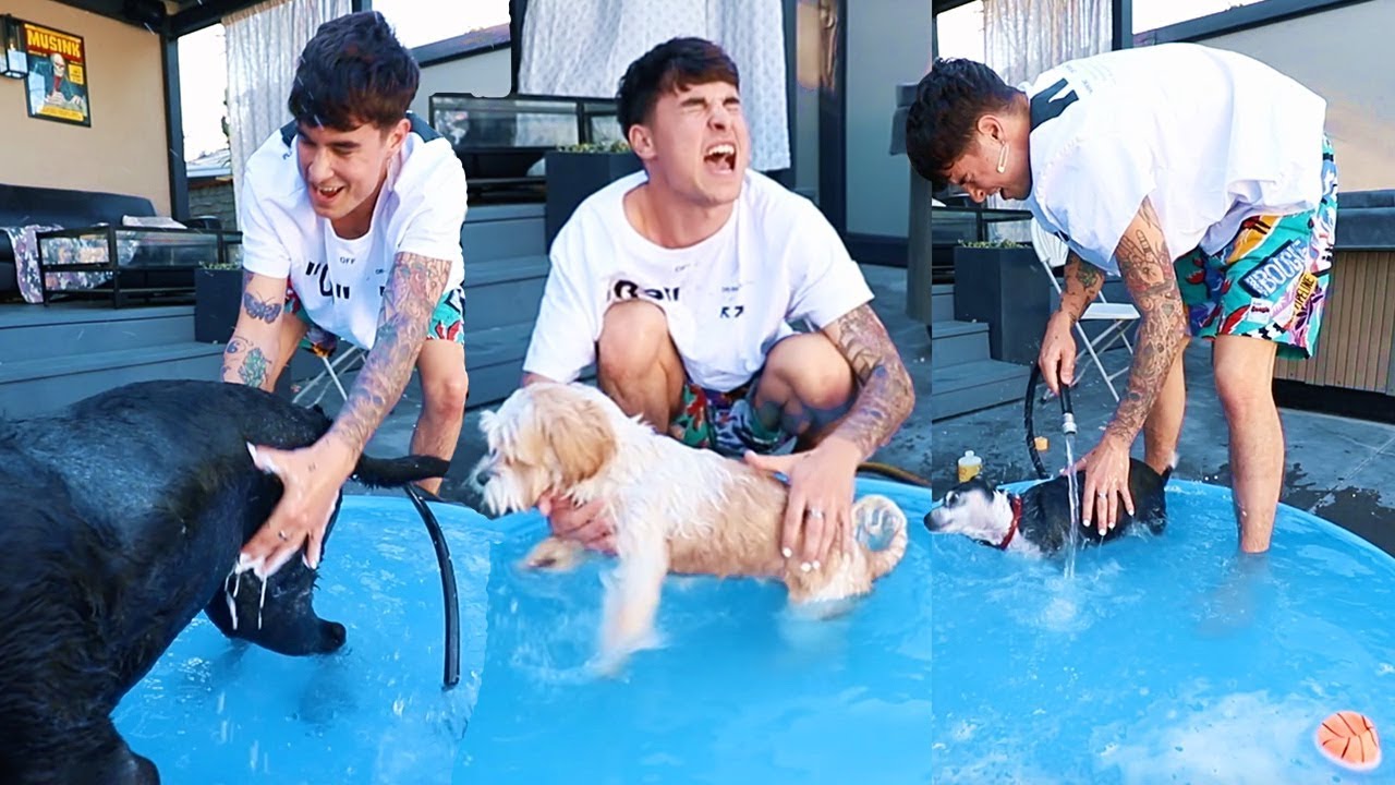 giving my puppies a bath
