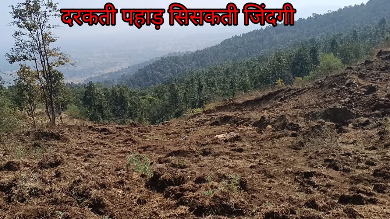 प्रकृति से छेड़छाड़ करना।। बहुत घातक हो सकता है। जंगल बचाओ जल बचाओ।।