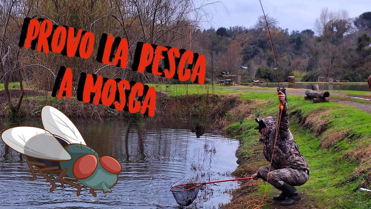 INIZIO una nuova TECNICA! Pesca a MOSCA con attrezzatura LOW COST!