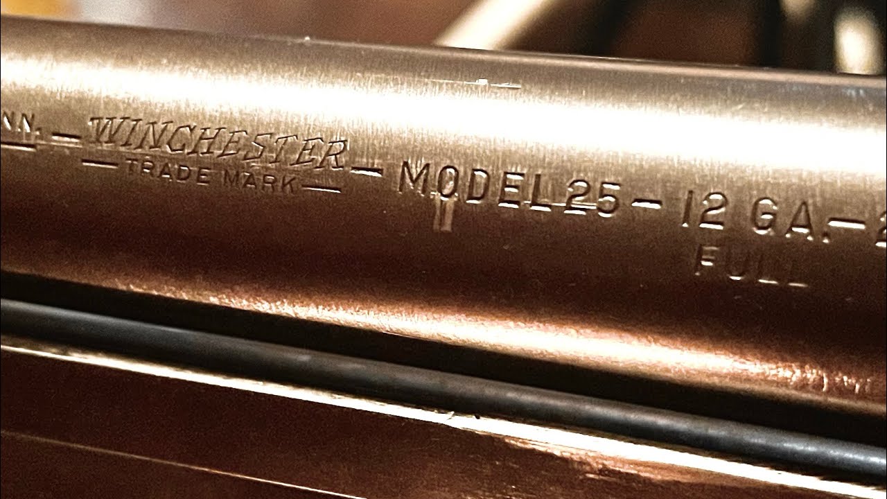 Winchester Model 25 12 Gauge Pump Shotgun from 1949-1954