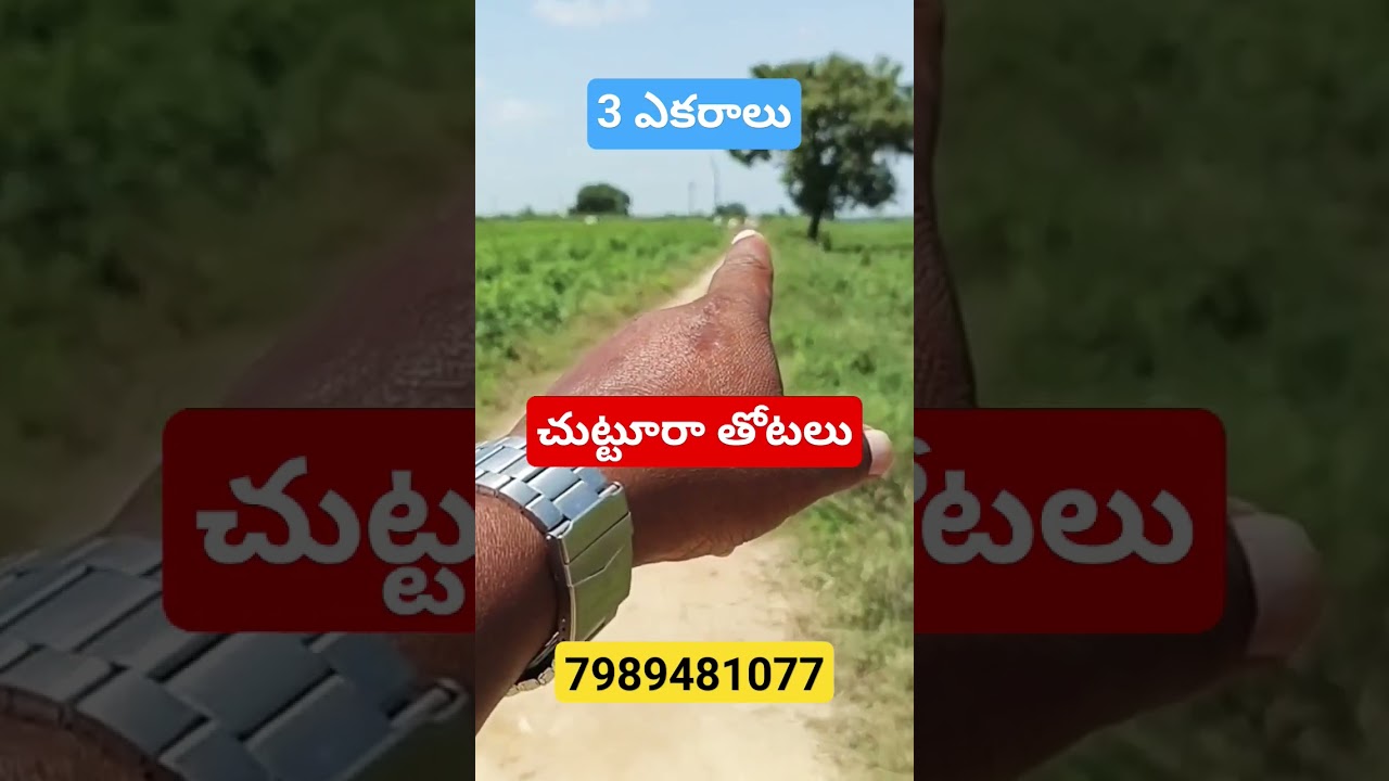 #rjrpropertiesservices #agriculturelands #jangaon #farming