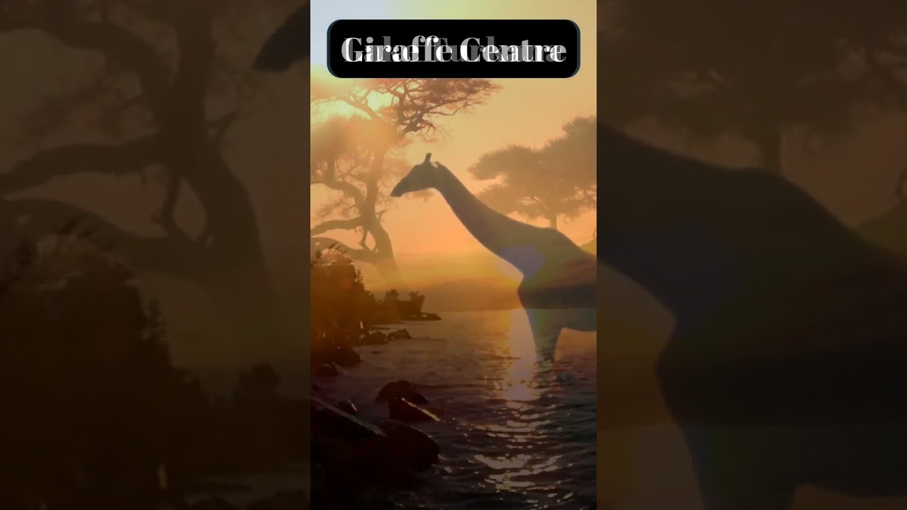 Most  beautiful places to travel in Kenya #discoverkenya #dianibeach #travel #explorekenya #nature