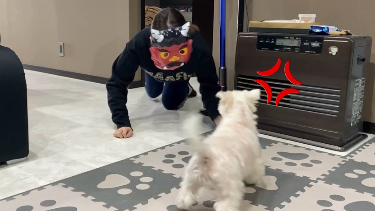 パパの居ない節分を愛犬と二人で迎えた結果…