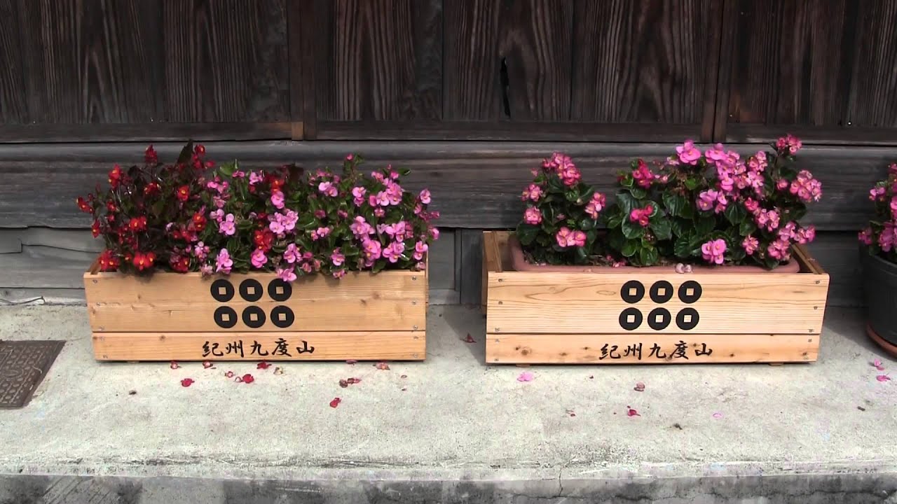 【Wakayama】九度山散策 Stroll around Kudoyama