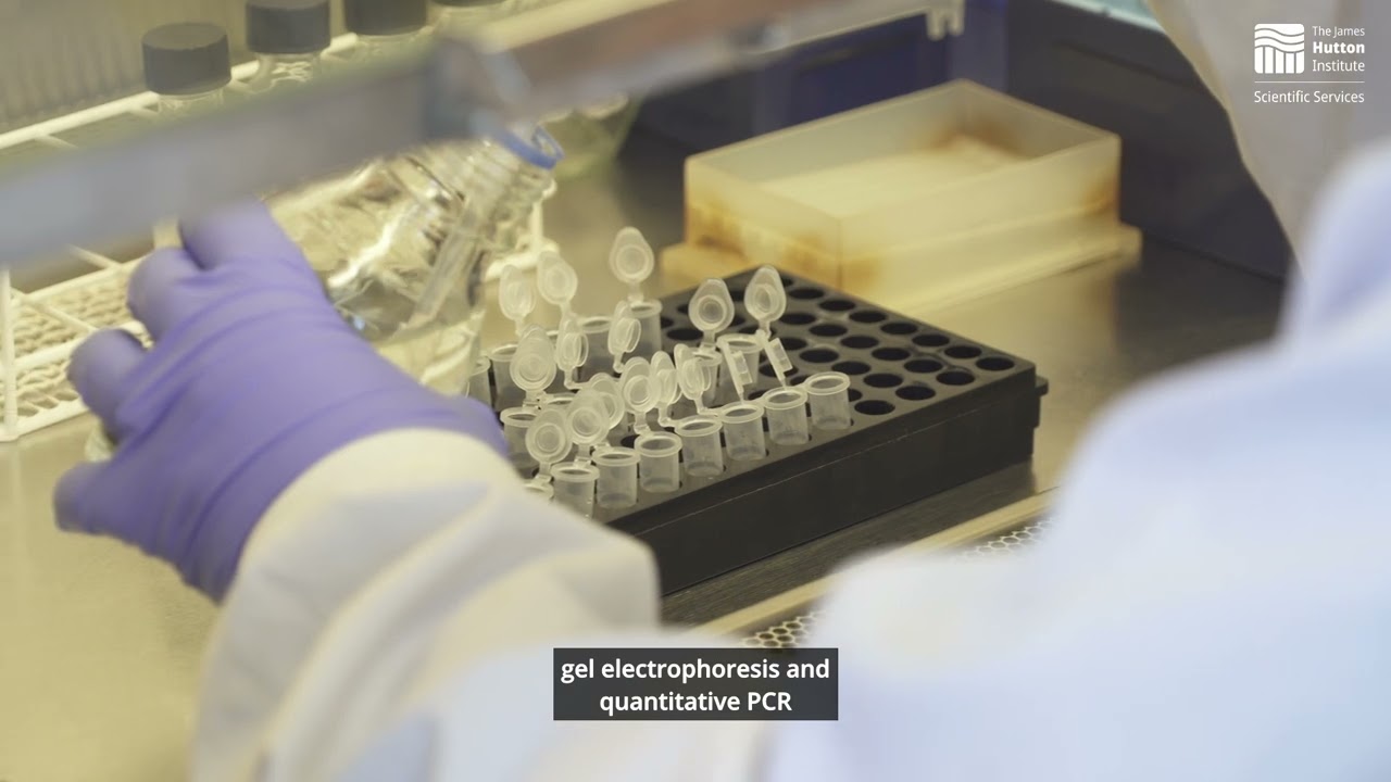 Claire Newman | Microbiology