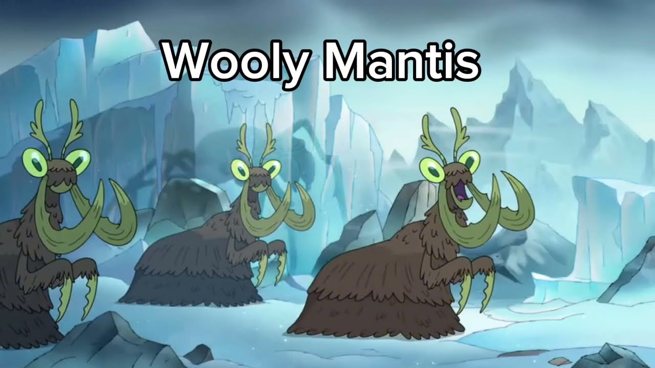 Amphibia All Creatures