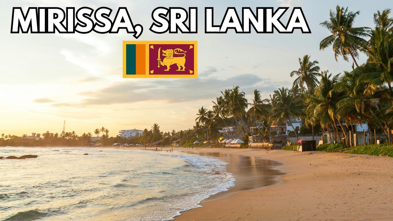 Мирисса — самый крутой пляжный город на Шри-Ланке? 🇱🇰