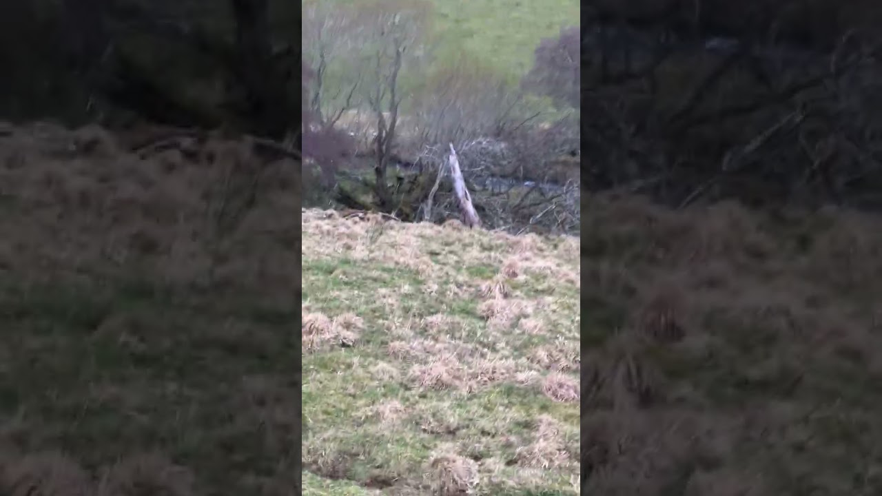 Tap O the Noth &mdash; по следам &laquo;Easaich Burn&raquo;