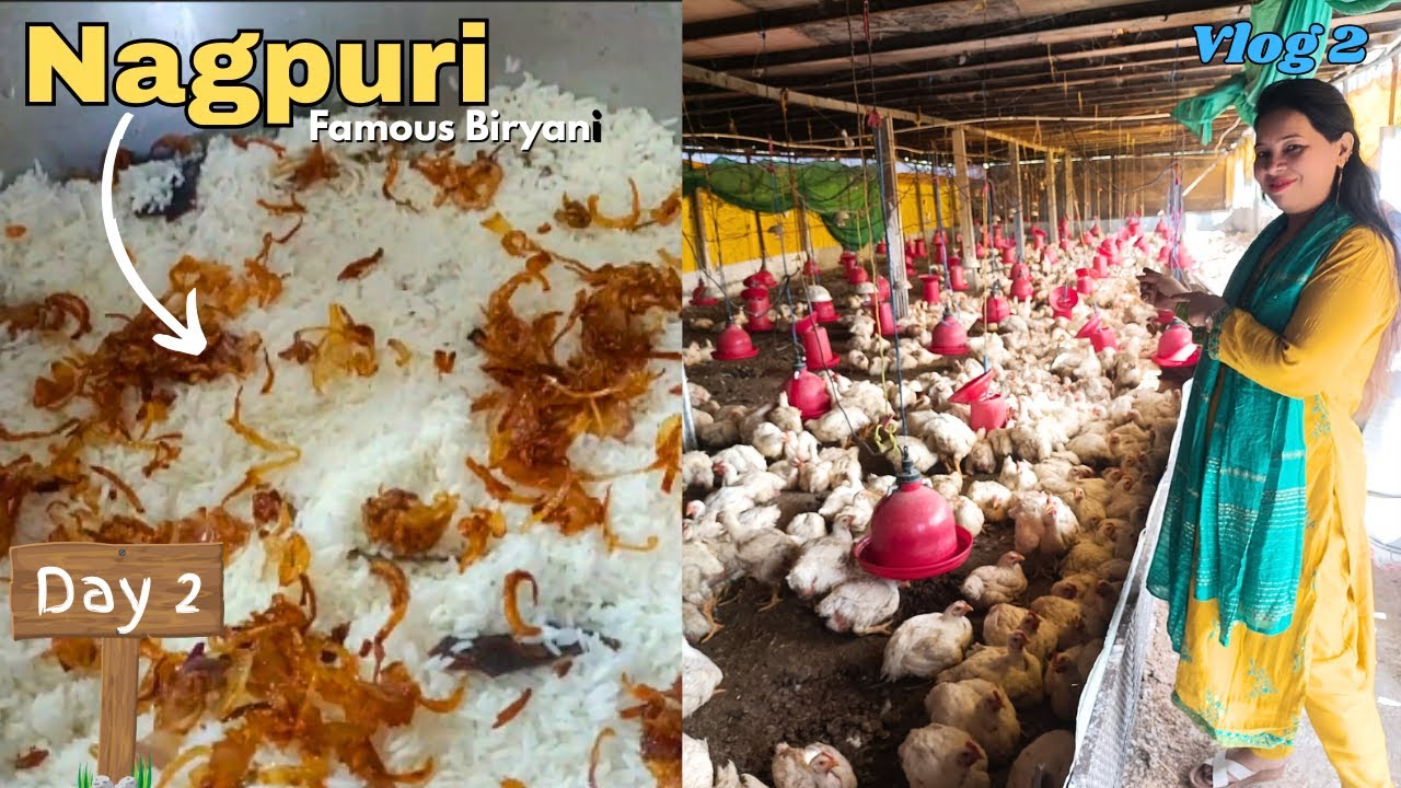 Inside a Poultry Farm in Nagpur | Pathan Farms & Nature Park | Day 2