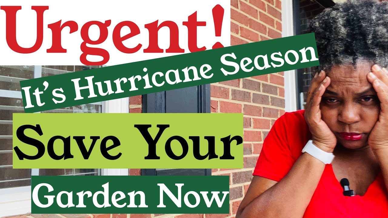 Tips To Save Your Garden Before During & After Heavy Rain | Container Gardening