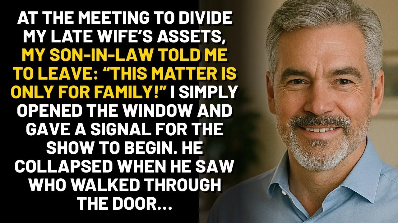 At the meeting to divide my late wife’s assets, my son-in-law told me to leave： This matter is only