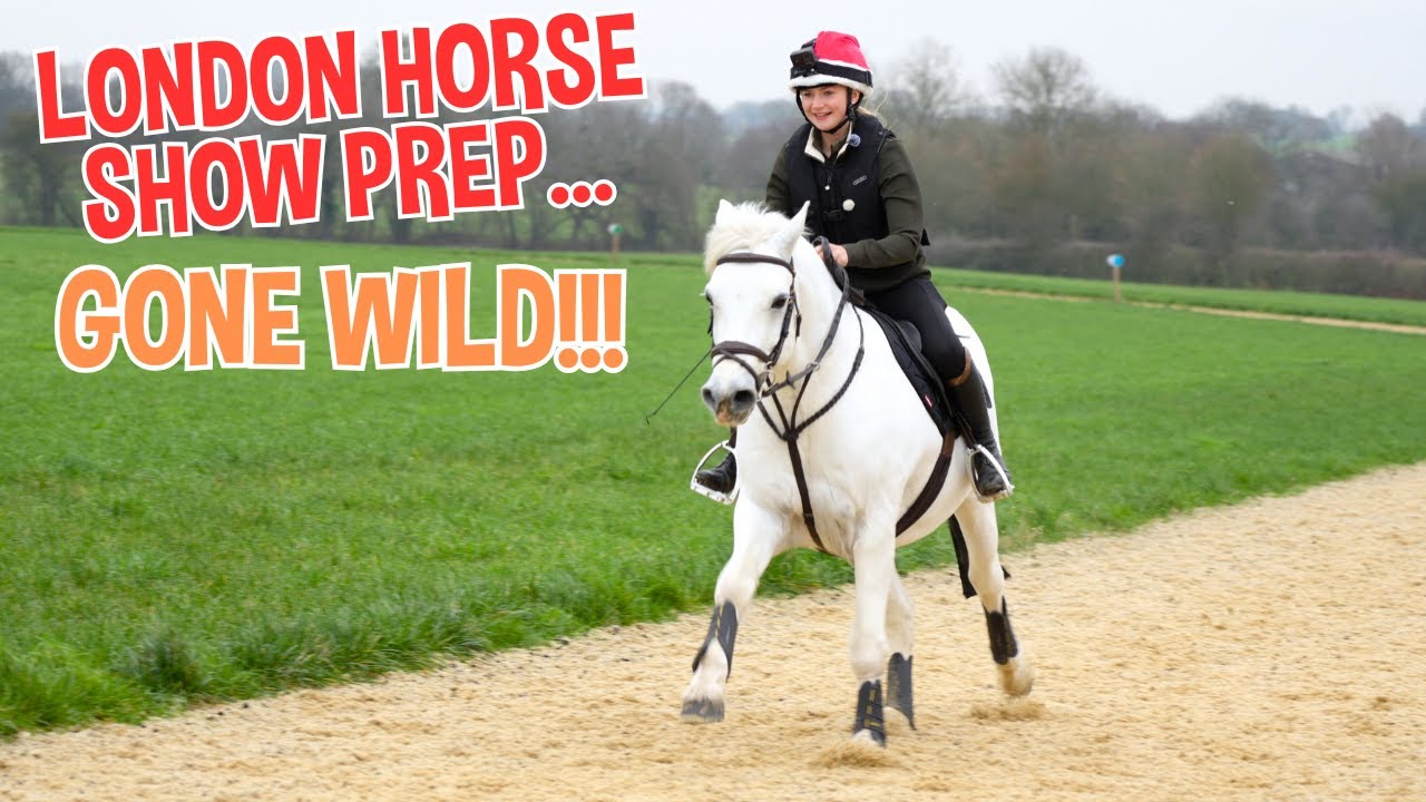 LONDON HORSE SHOW PREP... GONE WILD!