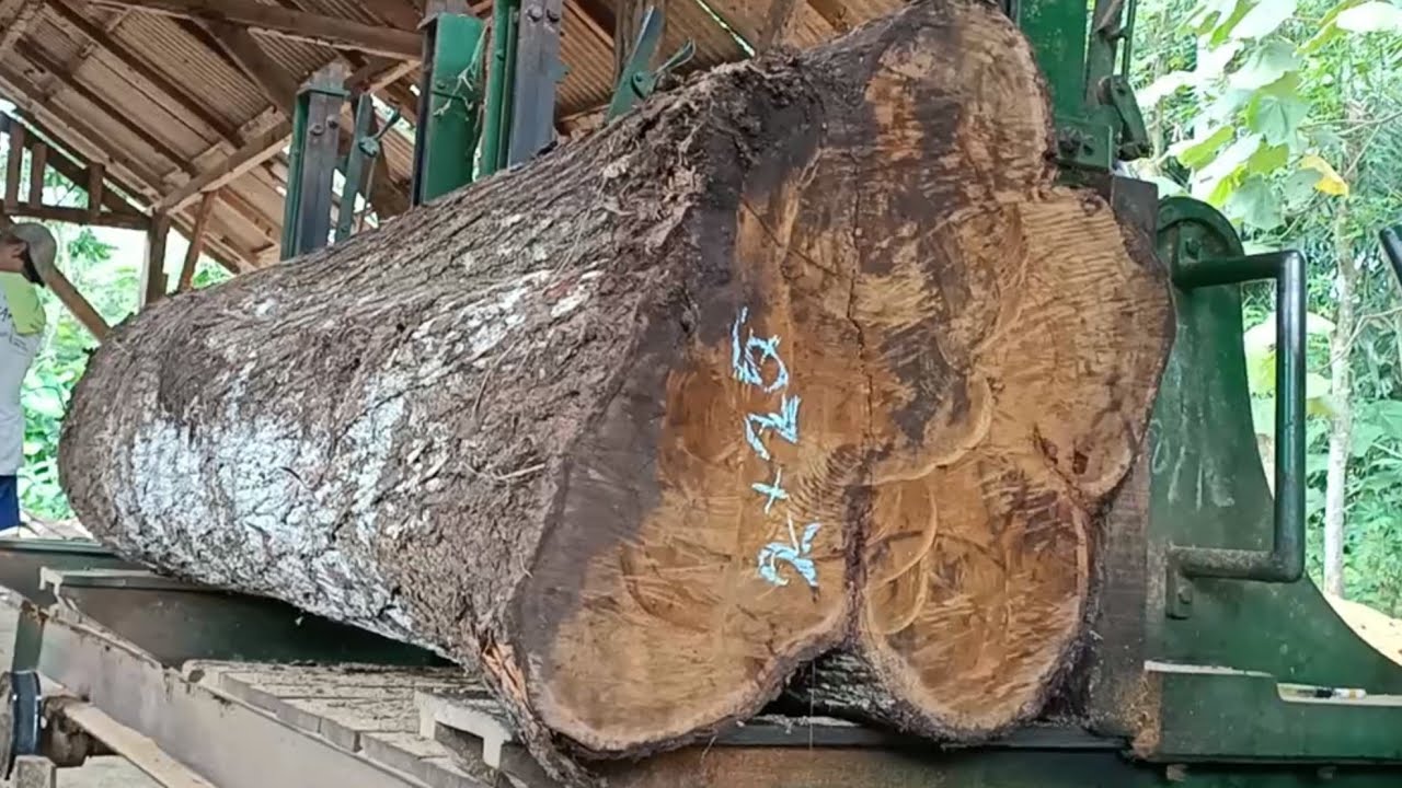 The process of chopping a giant piece of hard wood into beautiful wide sheets.