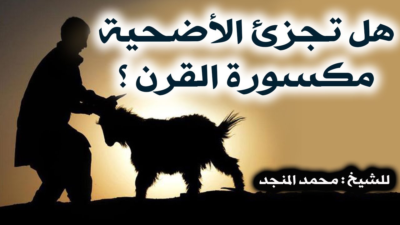 هل تجزئ الأضحية مكسورة القرن ؟ //  للشيخ : محمد المنجد