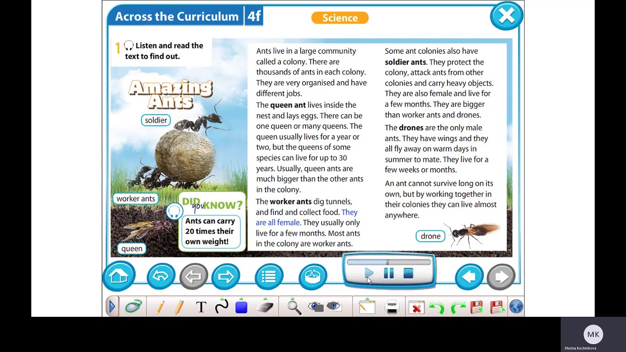 Excel 5 Module 4 ex  1 p  54 Amazing ants Listen and read