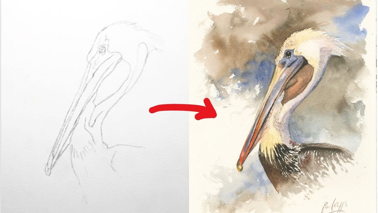 How to Paint a Pelican in Watercolour