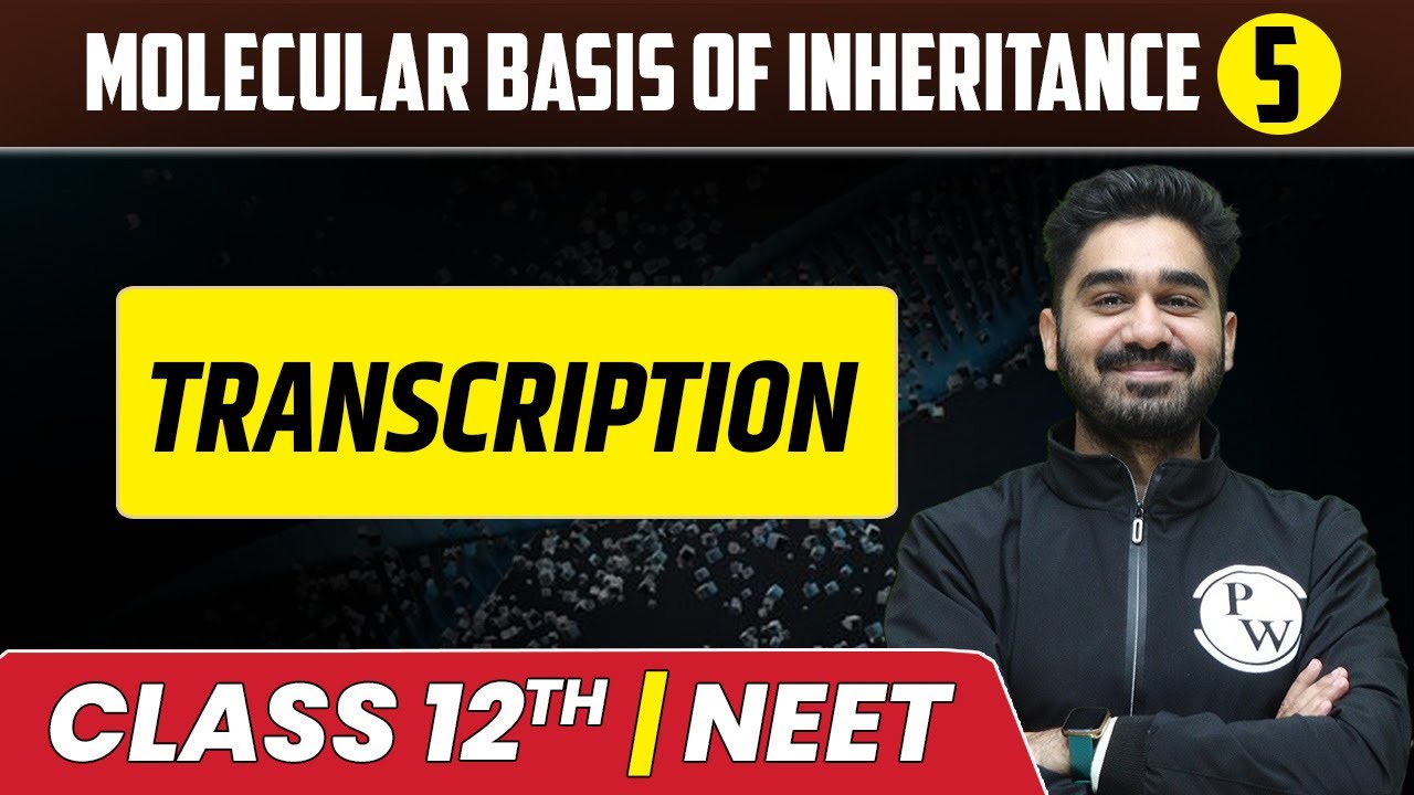 Molecular Basis Of Inheritance 05 | Transcription | Class 12th/NEET