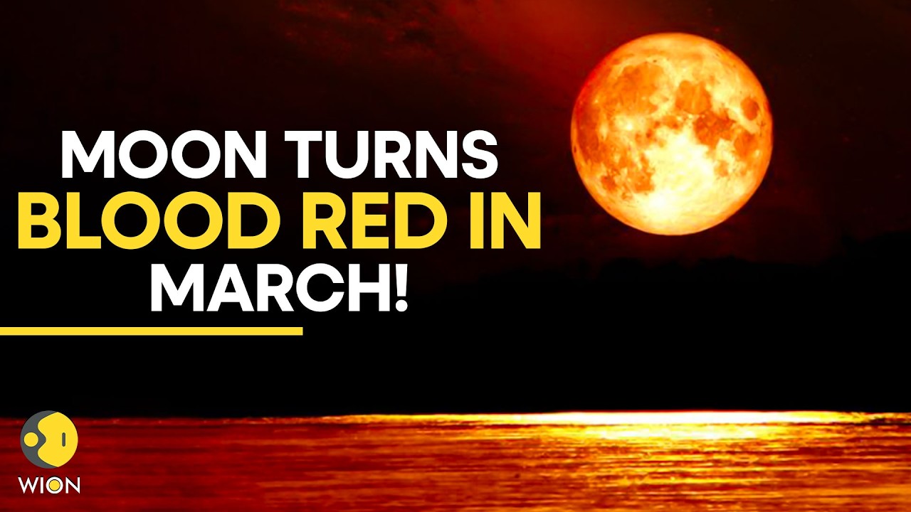 Blood Moon Alert: Sky Watchers Get Ready To Witness The First Total Lunar Eclipse Of 2026 |Originals