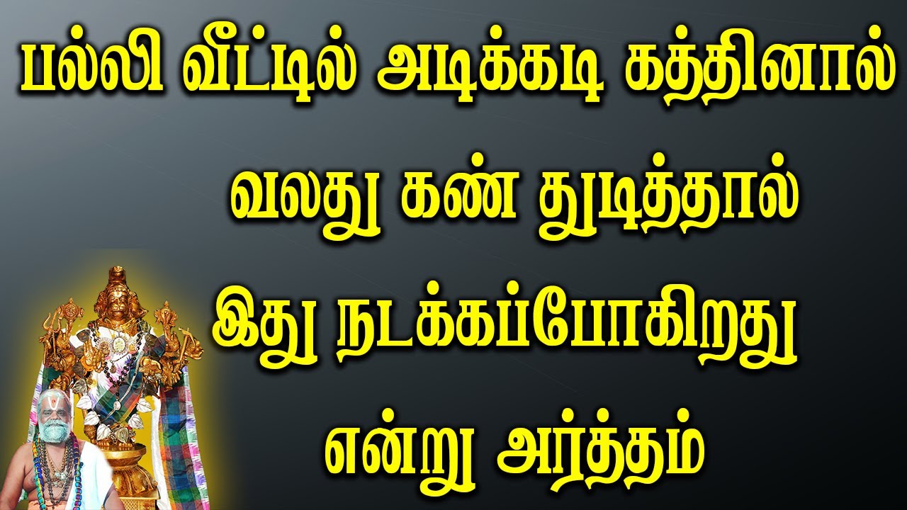 பல்லி வீட்டில் அடிக்கடி கத்தினால் என்ன அர்த்தம் என்று தெரியுமா உங்களுக்கு வலது கண் துடித்தால்